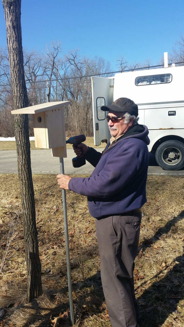 SAAS helps Eastern Bluebirds
Conservation organizations have joined forces in erecting and monitoring bluebird nest boxes in suitable habitat. A huge thank you to volunteers Bob Bergman and Bob LeClair who built 15 nestboxes. We installed four of them at Hudson Crossing Park with the help of the Superintendent of Grounds, Daryl Dumas, to whom we also owe a huge thank you.

If you are interested in becoming a bluebird monitor, please contact Pat Fitzgerald at fitzgeraldsaas@yahoo.com.