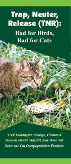 The ABC also has this brochure explaining why the "Trap, Neuter, Release" (TNR) program is not a successful way to control populations of feral cats. Download the TNR brochure here