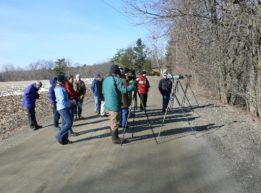 Whether it's learning about native plants, building bluebird nest boxes, or birding the Hudson River, our members always enjoy the fellowship and fun of our field trips and workshops. Please take time to familiarize yourself with the SAAS Field Trip Guidelines.