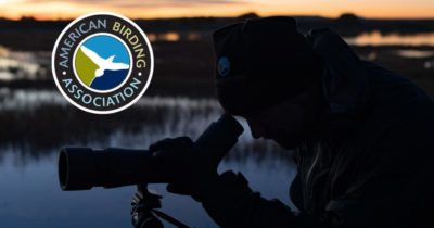 SAAS strongly encourages our members
to follow the American Birding Association Code of Birding Ethics.