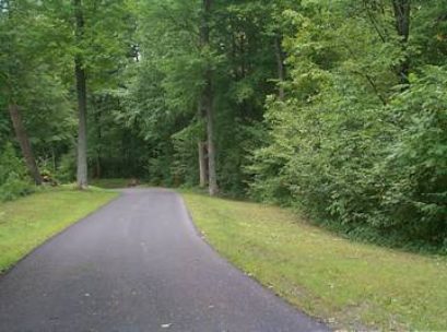 [Photo: The Betar Byway paved walking/biking path]


The paved Betar Byway meanders along the river and is flanked by pockets of predominately deciduous trees with tangled undergrowth, providing good habitat for ground and low elevation nesters. Forty-three different species of trees provide a wide variety of nesting places and food sources. Commonly seen during the summer months are Eastern Wood-Peewee, Eastern Phoebe, Great-crested Flycatcher, Cedar Waxwing, House Wren, Eastern Bluebird, Wood Thrush, Brown Creeper, both Warbling and Red-eyed Vireo, Scarlet Tanager, Baltimore Oriole, Rose-breasted Grosbeak, Song Sparrow and Northern Cardinal. Chimney Swifts are seen frequently in summer as well. Blackbirds, both nuthatches, chickadees, titmice, catbirds and mockingbirds are seen year-round. As might be expected in this habitat, Downy, Hairy and Pileated Woodpeckers will be sighted year round; Northern Flicker as well. Yellow-bellied Sapsucker has been sighted in spring and summer.

Birding is generally slower in the fall and winter months. Resident jays, cardinals, goldfinches, nuthatches and chickadees will be sighted along the path and Mallard, American Black Duck, Bufflehead, Ring-necked Duck, Common and Hooded Mergansers may be seen on the river. Northern Flicker, Belted Kingfisher and Eastern Bluebird often over-wintered here. Bald Eagles have been sighted as well. The river trail is cleared of snow in the winter.