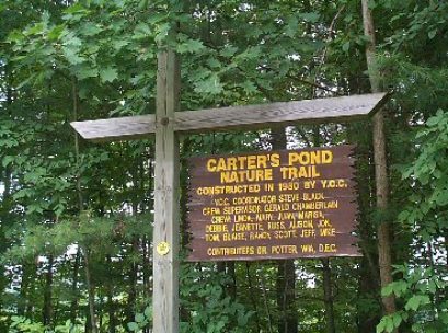 Carter's Pond, selected as a Bird Conservation Area (BCA) by New York State in 2002, is a 447-acre wetland and upland complex owned by the State of New York and managed by the Department of Environmental Conservation “to conserve the diverse assemblage of bird species utilizing the area, and the habitats upon which they rely.” Providing a diverse habitat for a variety of wildlife are open water, emergent marsh, wooded swamp, shrub wetlands, forests, old fields, grasslands, and shrublands. Three parking areas, canoe and rowboat access, a mile-long nature trail, and a pond and marsh overlook structure all combine to provide easy access to this natural area.

Directions Carter's Pond is located on CR 49 in the Town of Greenwich. Turn east from Rt 40 onto CR 49 in South Argyle, continue through the hamlet of Cossayuna and approximately 1.5 mi on your left are two parking areas on the east side of the road; one for access to the nature trail and observation deck and the other for access to the pond for cartop boats. No motors are allowed on the water. From points south follow Rt 29 to East Greenwich and turn north on CR 49, continuing for approximately 1.5 mi to the parking areas.