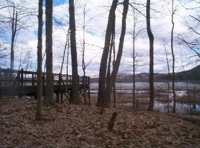 [Photo: Early spring affords a panoramic view from the observation deck]

Birding at Carter's Pond
Carter's Pond Bird Conservation Area (BCA) is an interesting natural place to visit in any season. Birding is most varied from early spring through late fall; however, nature walks throughout any season will reveal many plants and animals worth observation and study. The nature trail in winter can be a great place to study tracks and scats! Species observed in winter will include Blue Jay, Northern Cardinal, Black-capped Chickadee, Downy, Hairy, Pileated, and Red-bellied Woodpeckers, Brown Creeper, Dark-eyed Junco, American Goldfinch, American Tree Sparrow, Tufted Titmouse, and both the Red- and the White-breasted Nuthatches. As the ice breaks up and daylight increases, many birds return to the pond and surrounding wetland. Red-winged Blackbirds are the first; the males' epaulets brilliant in the early spring sun as they show off and battle for marsh territory. American Woodcock also return at this time and offer views of their amazing courtship displays at the edges of the large grassy fields.