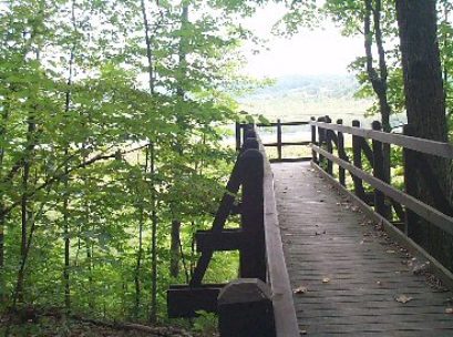 [Photo: The observation deck is handicapped accessible]


By mid-April, Wood Ducks, Mallards, American Black Ducks, Canada Geese, Belted Kingfishers, Song Sparrows, Great Blue Herons, and Yellow-bellied Sapsuckers will have returned. Migrating waterfowl use the pond and wetland - Pied-billed Grebe, American Wigeon, Common Goldeneye, Common and Hooded Merganser, Ring-necked Duck, both Blue and Green-Winged Teal, and Northern Pintail are some of the species seen in early spring. 
Spring heralds the return of thrushes and warblers. Veery, Hermit Thrush and Wood Thrush have all been found here; warblers include American Redstart, Northern Parula, Black-and-White, and Black-throated Green, in addition to the ubiquitous Ovenbird, Common Yellowthroat and Yellow warblers. Listen and watch for Northern Waterthrush in the flooded areas near the start of the nature trail and for Spotted Sandpiper along the stream. Great Blue Herons are a sure bet; Green Herons are often observed and Ospreys have been seen perched in snags along the edges of the pond. A quiet canoe paddle will make finding Virginia Rail and Sora easier; both have been discovered here. Also inhabiting the marshy areas are Pied-billed Grebe, American Coot, and Common Moorhen.