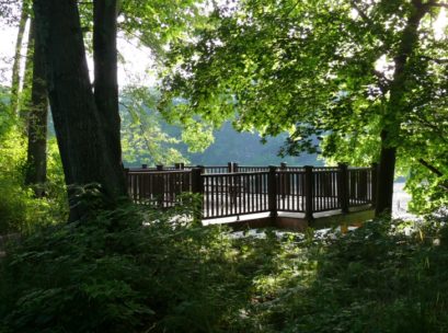 [This viewing deck provides a nice spot to rest
with a great view of the Hudson.]

You will be surrounded by birdsong on a Spring morning in this park, whether along the river trail or on the wooded ridge trail that leads to the point near the dam. Warblers move through on their way north; thirteen species have been recorded so far and with more intense birding in the future the list is sure to grow. Magnolia, Blackpoll, Northern Parula, Tennessee, and Black-and-white are among those that have been seen here. Vireos are active as well; Warbling, Red-eyed and Yellow-throated all stay to nest and Blue-headed has been seen in migration. Five flycatchers - Least, Eastern Phoebe, Great-crested, Eastern Wood-Peewee and Eastern Kingbird - return in Spring to take advantage of the many emerging insects in this wetland habitat. Watch for the Osprey pair to return - they nest on one of the large abandoned cement pilings in the river. Great Blue Heron and Belted Kingfisher will return to the river as well. Keeping an eye on the sky should give you views of migrating raptors and Turkey Vultures.