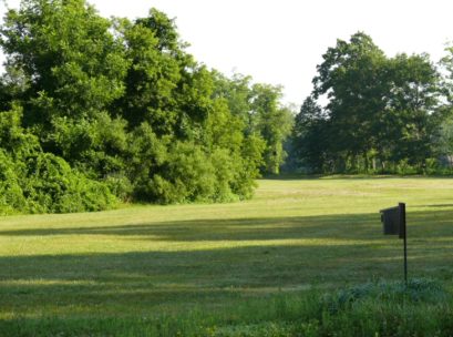 [Photo: Open areas provide good habitat for Eastern Bluebirds and Tree Swallows to raise their young.]

We know this location hosts many species not yet observed, so if you have any
additions to this list, please send us the species name, your name,
 and the date the bird was observed.