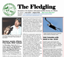 front-page-summer-2025-small