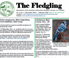 Fledgling-Winter-2025