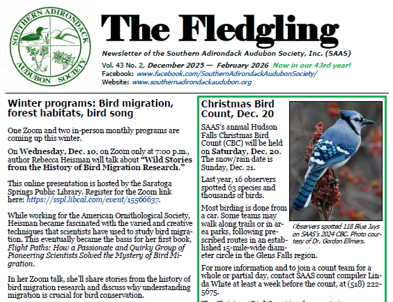 Fledgling-Winter-2025