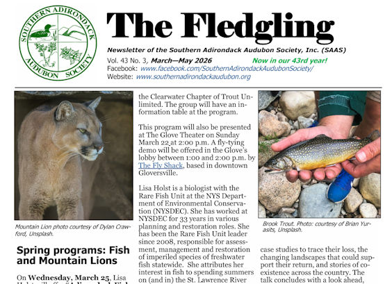 Fledgling-Spring-2026