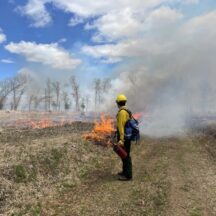 A Prescribed Burn